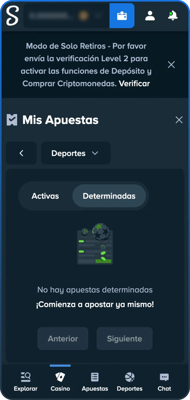 Realice un seguimiento de sus ganancias en Stake.