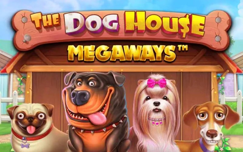 Diviértete con la tragamonedas The Dog House Megaways en el sitio oficial Stake.